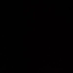 Meet your Posher, Dion